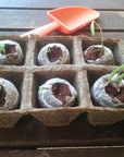 Planet Eco Herb Patch Gardening Kit