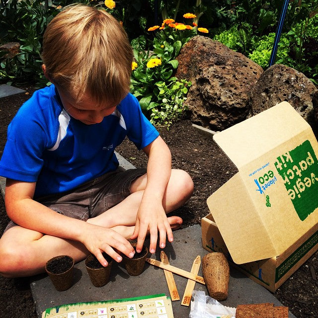 Gardening Kits & Accessories